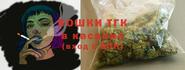 гидропоника Кодинск