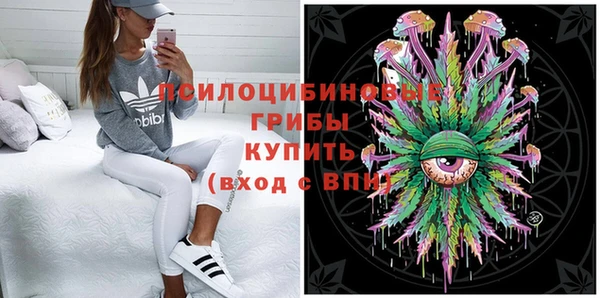 тгк Козельск