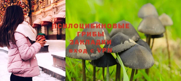 гидропоника Кодинск