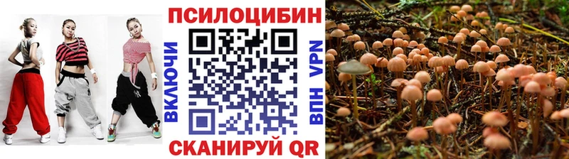 Купить где  Лакинск  Псилоцибиновые грибы Psilocybe 